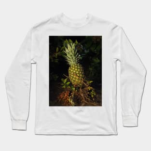 Pretty Plump Pineapple Pin, Mask, Tote Long Sleeve T-Shirt